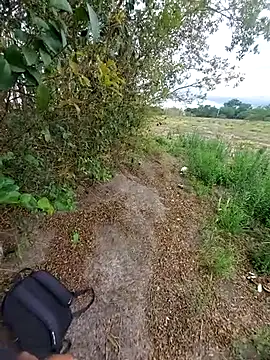 Snapshot of magraocam chatting on 11.06.25 magraocam online show from 11.06.25