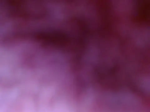 Your candy 47 online show from 09.17.25