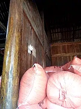 hera-00 online show from 09.20.25