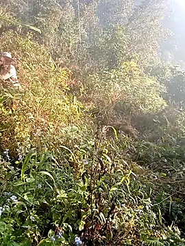 hera-00 online show from 12.19.25