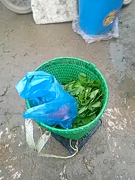 hera-00 online show from 02.03.26