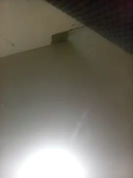 Bebicho14 online show from 04.07.26