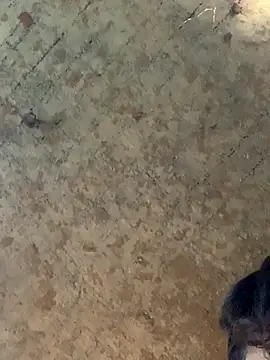 Snapshot of uniquesexyboy5689 chatting on 11.27.25 uniquesexyboy5689 online show from 11.27.25