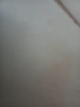 Snapshot of Jobson40 chatting on 11.01.25 Jobson40 online show from 11.01.25