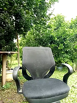 AlphaAlterX online show from 10.12.25