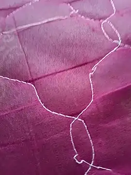 Lavanyaatelugu online show from 11.15.25