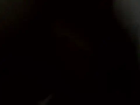 angelitocalientico online show from 11.14.25