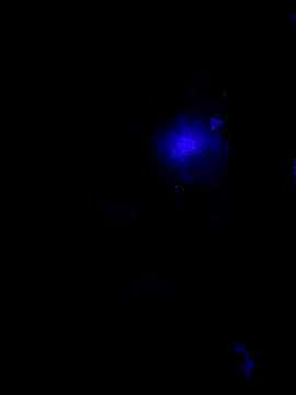 johnboones10 online show from 10.22.25