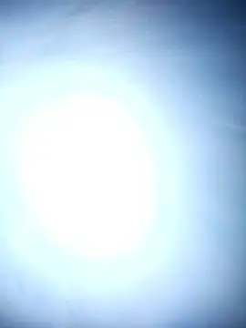 chinoaf online show from 12.18.25