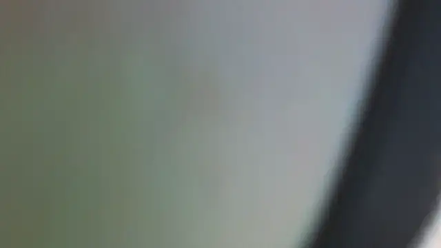 piekelete online show from 10.07.25