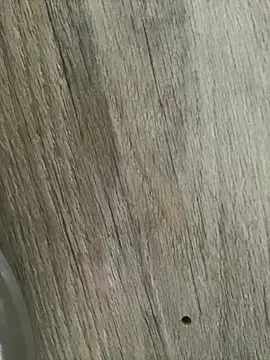 Snapshot of LunaSthena chatting on 10.26.25 LunaSthena online show from 10.26.25