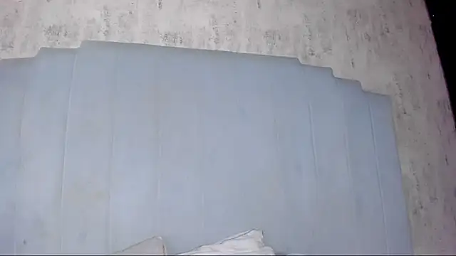 shanty cole online show from 07.11.26