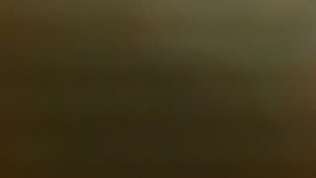 criss zuri online show from 12.02.25