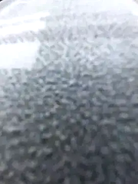 bisexdon online show from 10.16.25