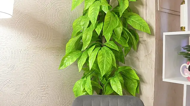 Snapshot of MarlinVarian chatting on 09.09.25 MarlinVarian online show from 09.09.25