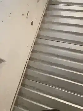 Chico031289 online show from 02.28.26