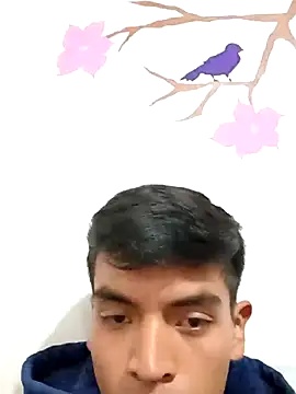 DavidVergagigante420 online show from 11.05.25