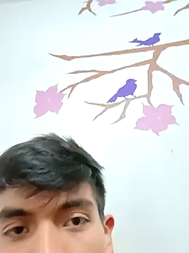 DavidVergagigante420 online show from 11.17.25