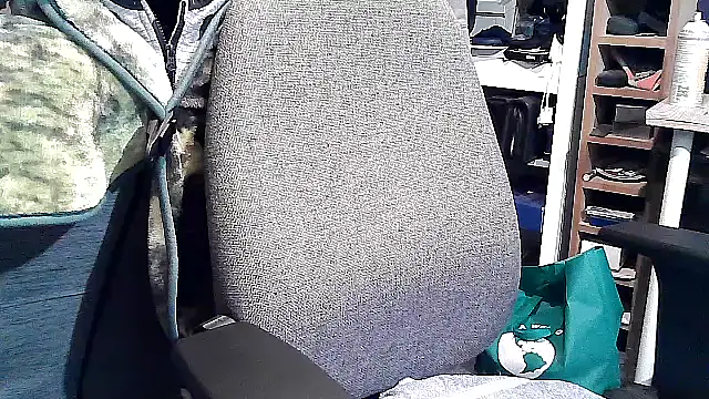 georgew62 online show from 09.20.25