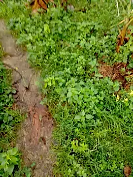 bigdaddyboy46 online show from 09.12.25