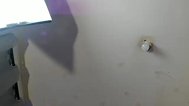 Snapshot of Ambeer_fox_ chatting on 02.23.26 Ambeer fox online show from 02.23.26