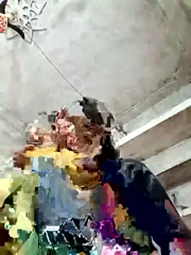 Cm pooja online show from 01.10.26