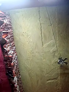 Suman ji1 online show from 11.27.25