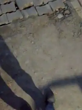 haryanaboypanipat12 online show from 03.17.26