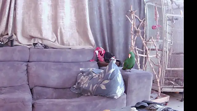 Alexis21821 online show from 11.13.25