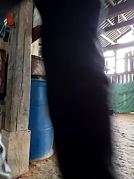 bonnie-00 online show from 10.27.25