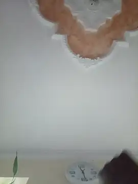 Snapshot of Elsuave28 chatting on 01.19.26 Elsuave28 online show from 01.19.26