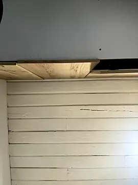 Snapshot of SienaWild chatting on 12.01.25 SienaWild online show from 12.01.25