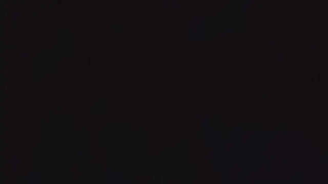 Snapshot of SienaWild chatting on 12.22.25 SienaWild online show from 12.22.25