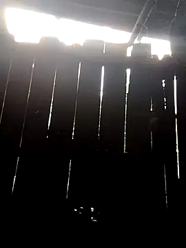 donna-bae online show from 10.10.25