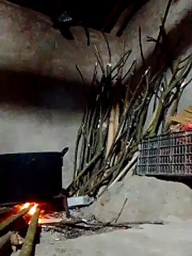 donna-bae online show from 03.09.26