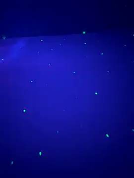 sweetttr online show from 09.16.25