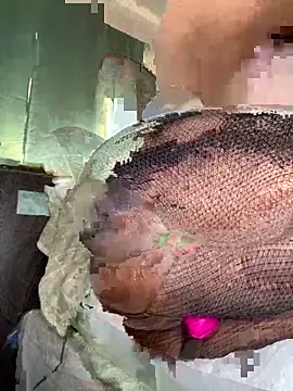 foreigntitts  online show from 03.20.26