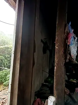 tulipsexy online show from 10.16.25