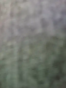 Snapshot of JeffersonRay chatting on 01.07.26 JeffersonRay online show from 01.07.26