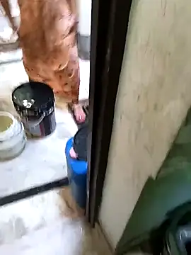 Snapshot of Cute-Charvii chatting on 03.08.26 Cute-Charvii online show from 03.08.26