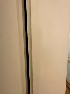 Snapshot of hhhajjib chatting on 11.17.25 hhhajjib online show from 11.17.25