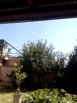 Snapshot of -Axelconda420 chatting on 03.25.26 -Axelconda420 online show from 03.25.26