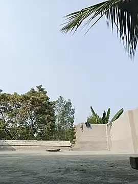 reya743 online show from 02.03.26