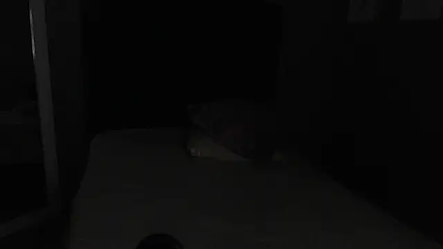 Vic Taylor online show from 11.07.25