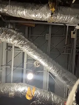 wwolfxxx online show from 04.10.26