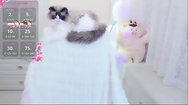 Snapshot of Coco-Di chatting on 05.09.26 Coco-Di online show from 05.09.26