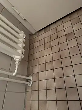 Snapshot of Penisbrutaldick chatting on 03.02.25 Penisbrutaldick online show from 03.02.25