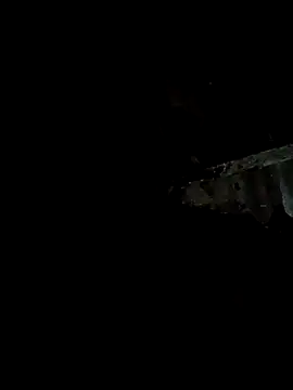 Snapshot of bree-zz chatting on 01.11.26 bree-zz online show from 01.11.26