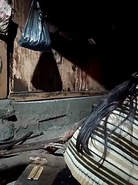 Snapshot of bree-zz chatting on 03.12.26 bree-zz online show from 03.12.26