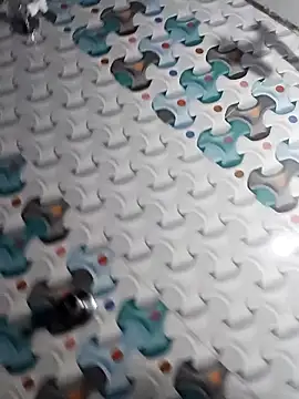 RANI 747 online show from 10.11.25